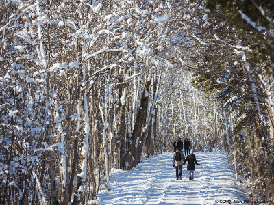 Bienfaits de la marche en hiver à Québec