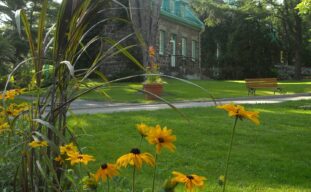 parc des moulins