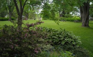 parc des moulins