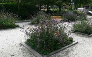 place jean pelletier