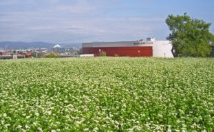 colline parlementaire