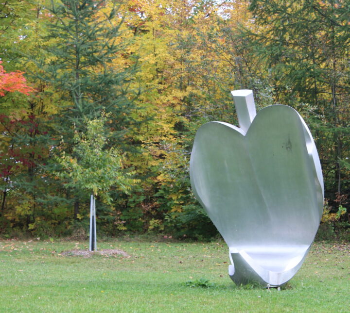 Coeur de pomme