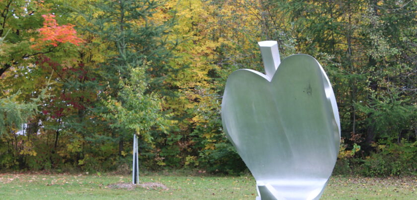 Coeur de pomme
