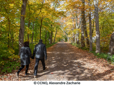 L'automne dans les parcs de Québec